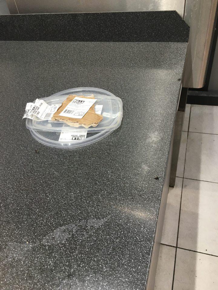 Výskyt lietajúceho hmyzu na úseku lahôdok