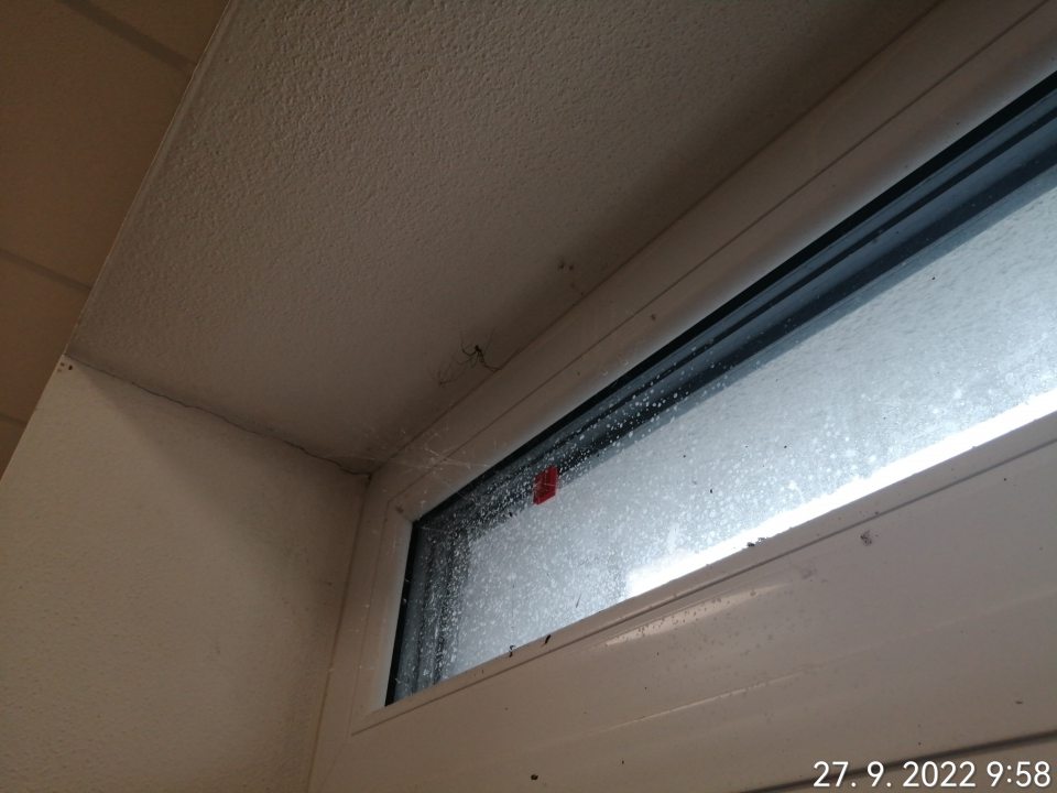 Pavúky a pavučiny pri oknách nad vstupnými dverami príjmu potravín