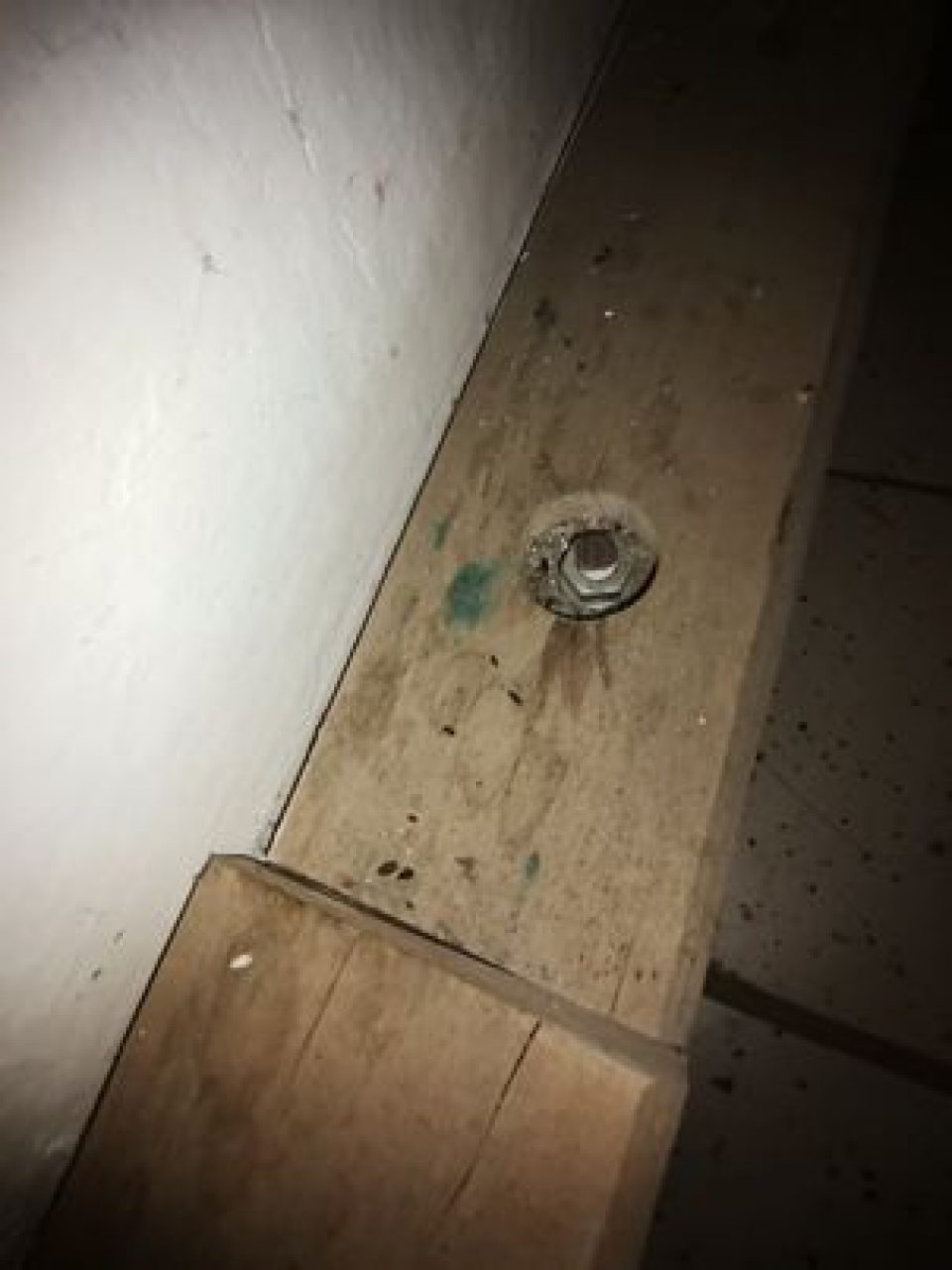 V skladových priestoroch zistený výskyt trusu hlodavcov