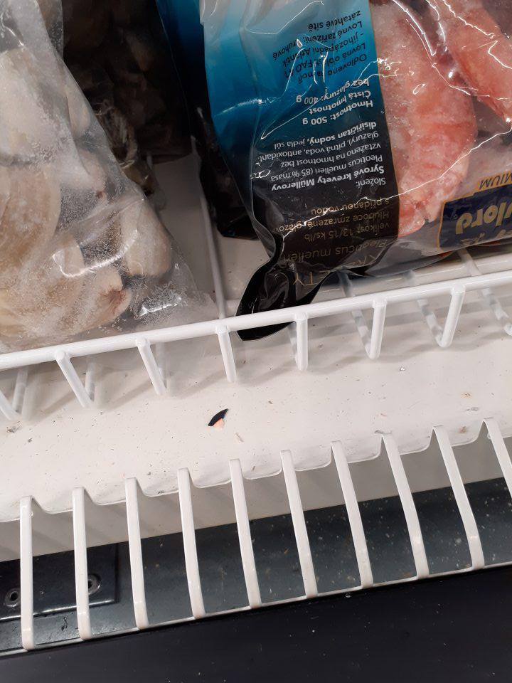 Znečistenie mraziarenského zariadenia na predajnej ploche.