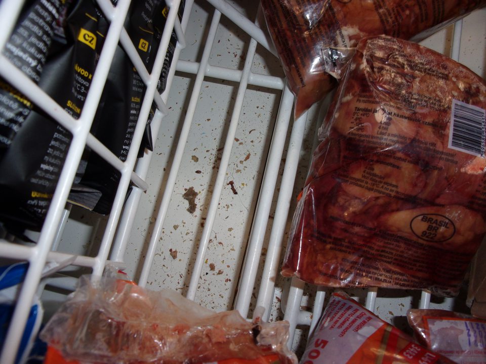 Napadané nečistoty v mraziacom boxe.