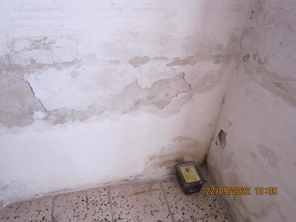 V sklade, kde sú umiestnené prepravky na pečivo je prítomná pleseň, omietka je necelistvá a opadáva