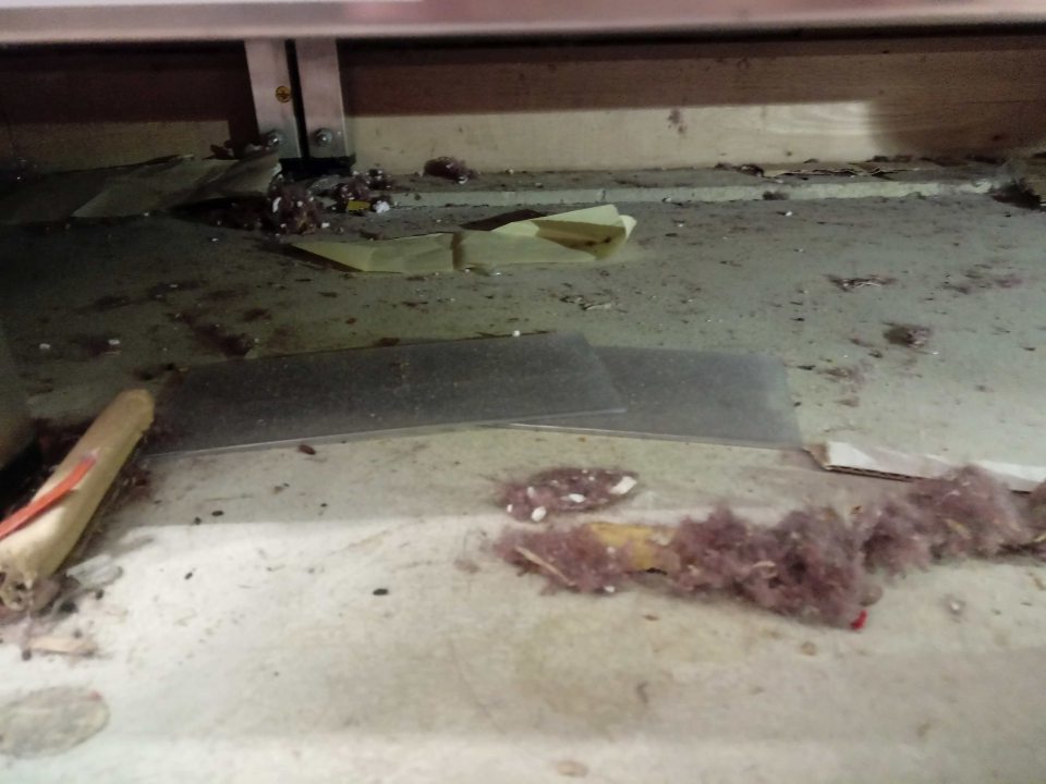 Znečistená podlaha v sklade potravín.