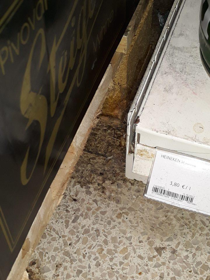Na predajnej ploche podlaha medzi paletou a regálom slúžiace na vystavovanie piva znečistená zaschnutou hrubou vrstvou špiny, prachom, mechanickými nečistotami.
