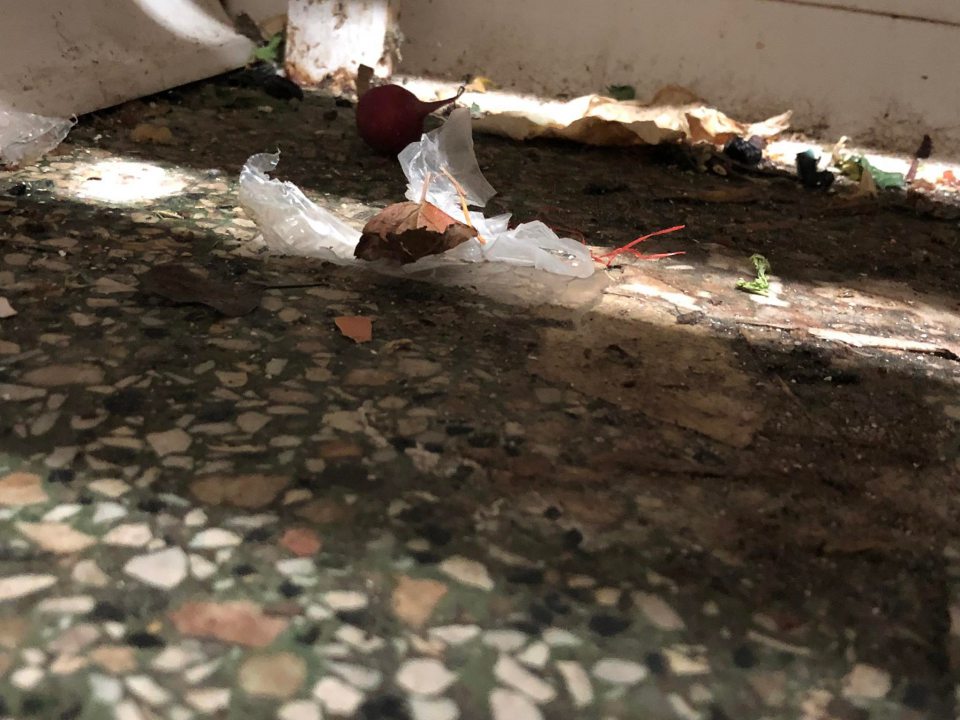 Silne znečistená podlaha v chladiacom boxe od prachu, zaschnutej špiny, obalového materiálu, mechanických nečistôt, zaschnutej tekutiny s výskytom plesne.