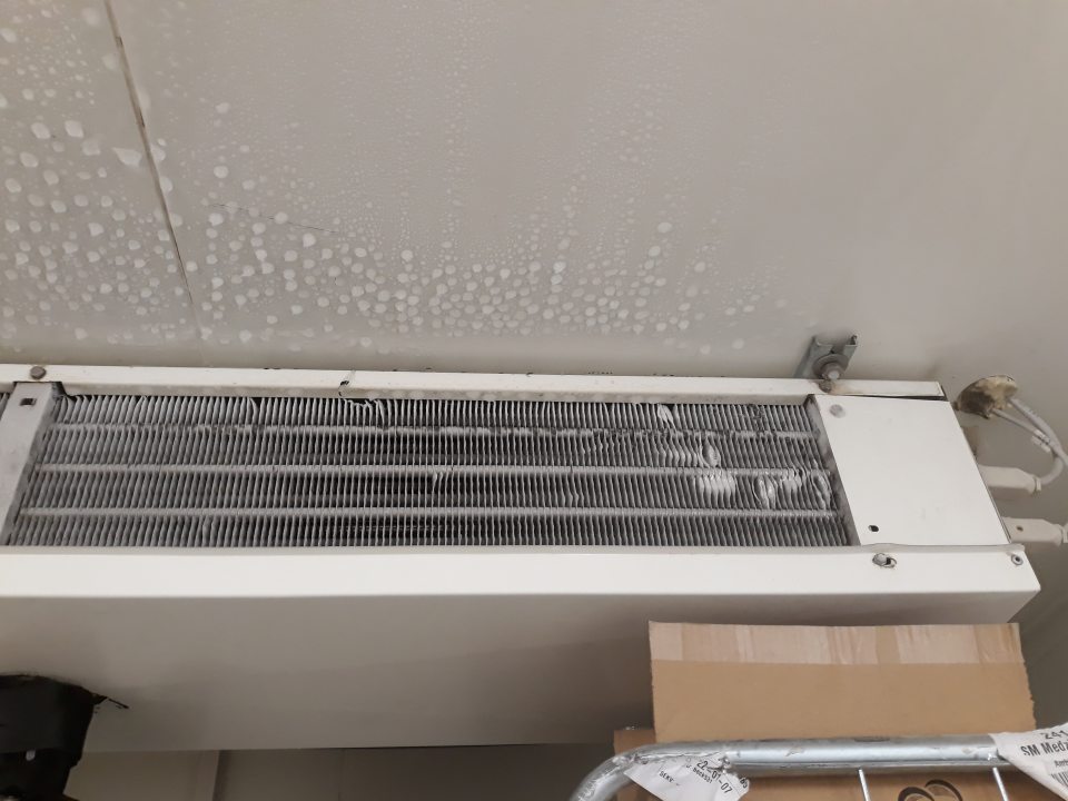 Na strope v mraziacom boxe slúžiacom na skladovanie hlbokozmrazeného pekárskeho polotovaru zistený výskyt kondenzu.