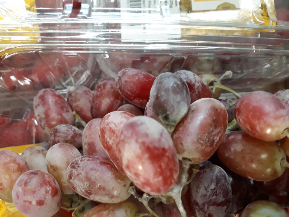 Zistený predaj ovocia nevhodného na ľudskú spotrebu: Hrozno bezkôstkové tmavé 500g,cena 1,69 €.