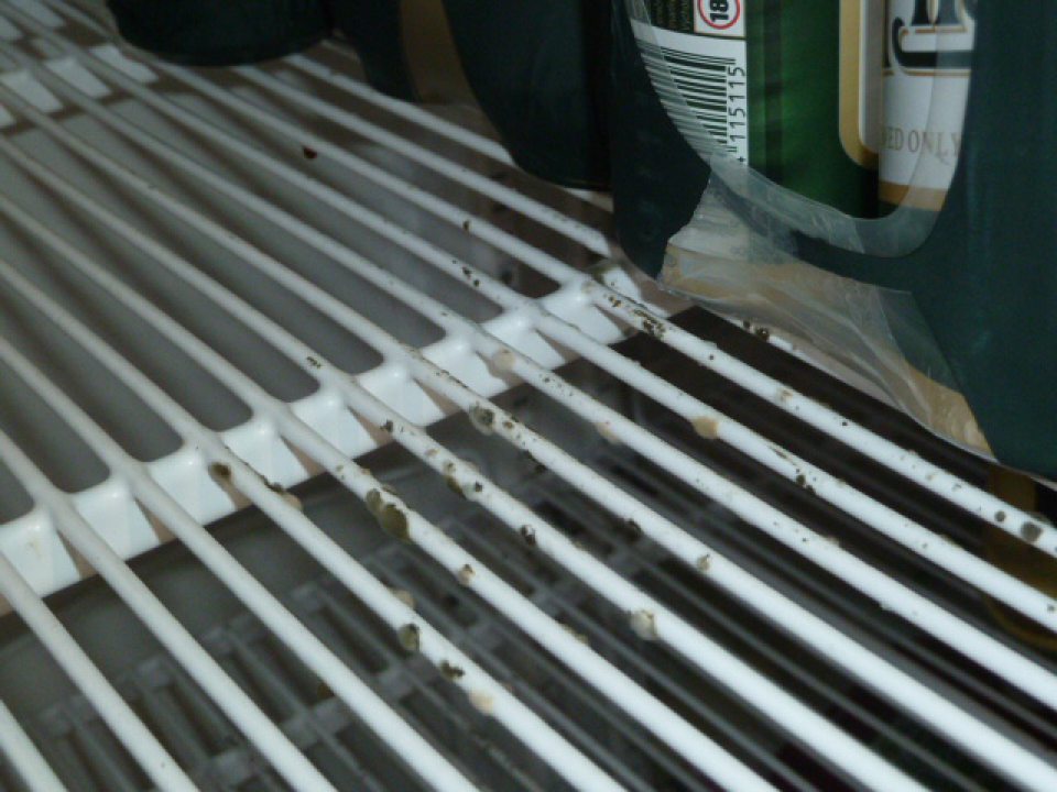 Úložné plochy  chladiaceho zariadenia pre dochladzovanie  piva boli  znečistené zvyškami rozliatého nápoja  a mriežky  sú pokryté porastom  plesní na viacerých miestach.