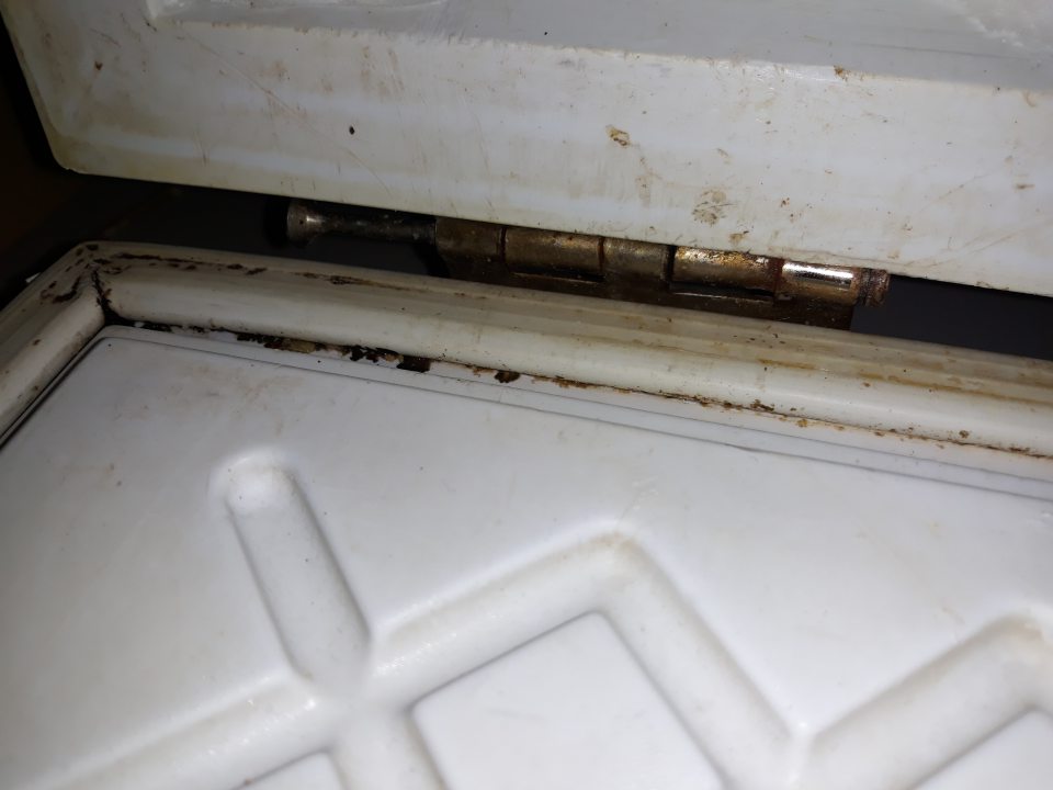 V priestore na dopekanie hlbokozmrazených pekárskych výrobkov v mraziacom zariadení na skladovanie hlbokozmrazených pekárskych polotovarov, dvierka v spodnej časti znečistené nánosom nečistôt so silným výskytom plesne a na pántoch dverí zistený výskyt korózie.
