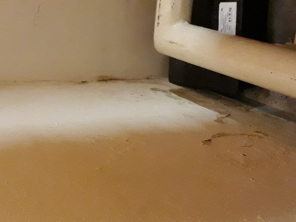 V skladových priestoroch v mieste na skladovanie pekárskych výrobkov, náter v dolnej časti steny na viacerých miestach porušený, popraskaný, opadaný s výskytom plesne v rohu.
