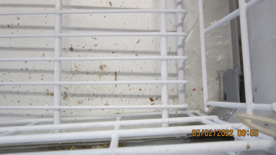 Vodiaca lišta a priestor pod vodiacou lištou mraziaceho zariadenia znečistený mechanickými nečistotami, zvyškami predávaného tovaru a v spodnej časti zariadenia silný výskyt ľadu.  