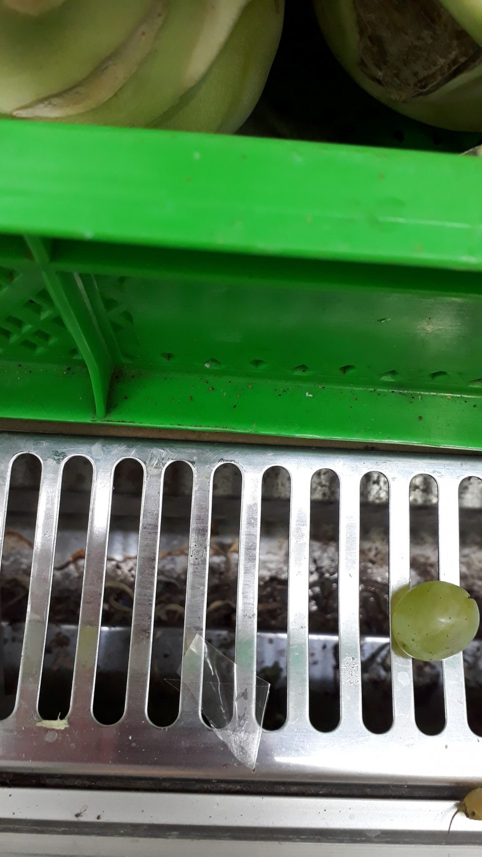 Nečistoty pod mriežkou chladiaceho zariadenia pre ovocie a zeleninu.