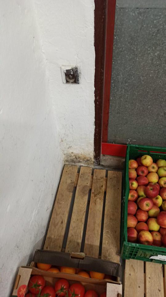 hygiena prevádzkarne - pleseň na stene v sklade