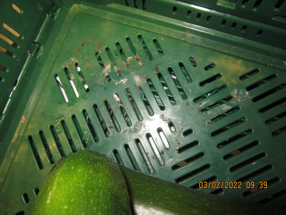 v čase úradnej kontroly na predajnej ploche na úseku predávaného ovocia, zeleniny a zemiakov zistená prepravka s cuketami ponúkanými na predaj znečistená nánosom nečistôt s výskytom voľným okom viditeľných plesní na viacerých miestach na dne prepravky