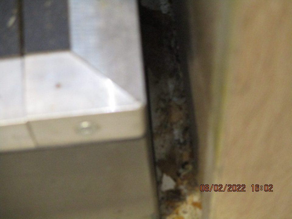  na úseku dopeku pekárskych výrobkov nános prachu, pekárskych zvyškov a ľanu pod regálom s pečivom - na predajnej ploche v časti s pekárskymi výrobkami za regálom s nebalenými pekárskymi výrobkami výskyt zvyškov pekárskych výrobkov, kúsky rožkov