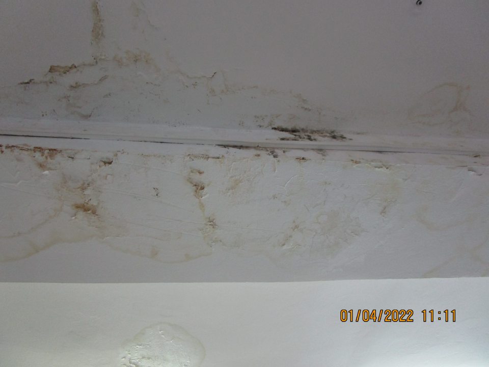 na predajnej ploche nad regálmi na 3 miestach s uskladenenými cestovinami, múkou a nealkoholickými nápojmi zamoknutý a zaplesnivelý strop