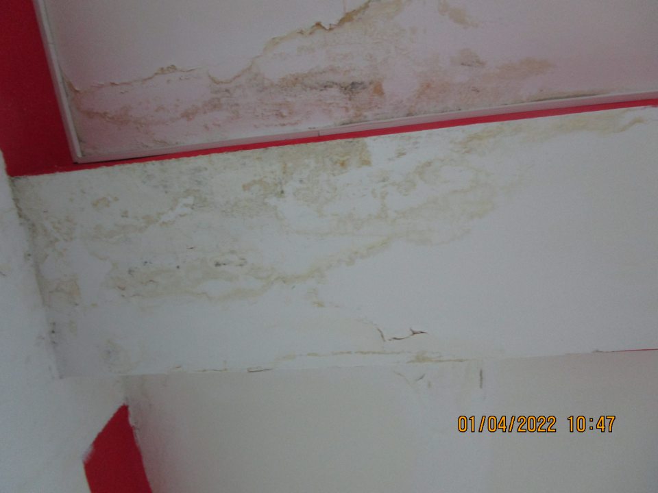 na predajnej ploche nad regálmi na 3 miestach s uskladenenými cestovinami, múkou a nealkoholickými nápojmi zamoknutý a zaplesnivelý strop