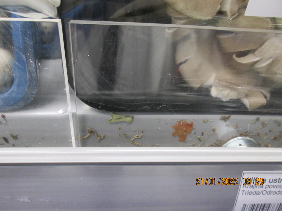 Chladiace zariadenie znečistené nánosmi nečistôt a prachu.