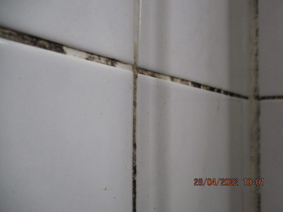 ýrobňa knedlí - v uvedenej časti oproti vstupu z výrobnej časti sú znečistené škáry nánosom špiny a nečistôt na viacerých miestach medzi keramickým obkladom steny, stena (nad uvedeným keramickým obkladom) tvorená plastovými lištami vpravo od dverí vedúcich do vonkajšieho prostredia je znečistená nánosom špiny, nečistôt a s výskytom plesní, stena tvorená plastovými lištami nad dverami do vonkajšieho prostredia je znečistená nánosom špiny, nečistôt a plesní, stena tvorená plastovými lištami v okolí okna a nad oknom je taktiež znečistená nánosom špiny, nečistôt a plesní, strop nad oknom je znečistený nánosom špiny, nečistôt a plesní