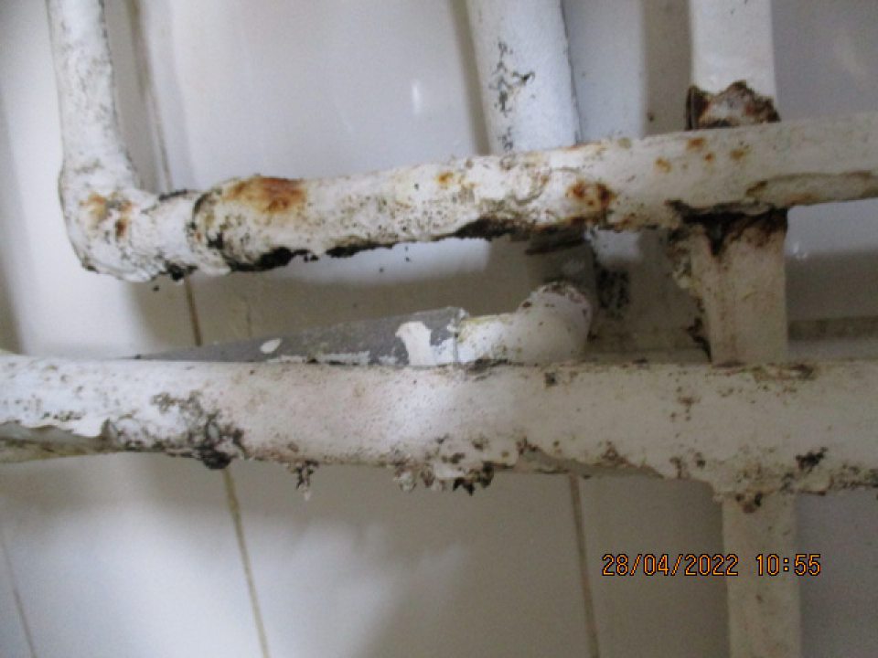 výrobňa jemného pečiva - rozvodné potrubia umiestnené pod umývadlom a pod rolovacím technologickým zariadením sú s výskytom korózie, plesní a olupujúcim sa hygienickým náterom a uvedené potrubia vedú za skrinku a vpravo od skrinky je s výskytom plesne