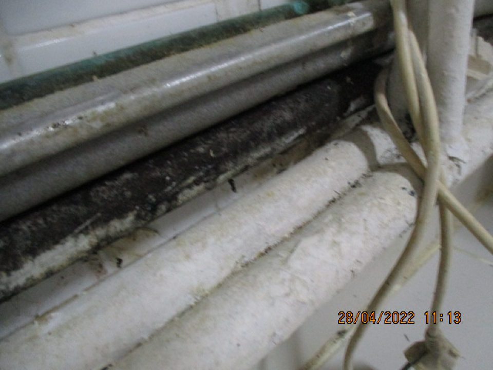 miestnosť vyprážania šišiek - rozvodné potrubia vedúce v blízkosti podlahy v časti pod digestormi a za technologickým zariadením na vyprážanie šišiek v uvedenej miestnosti sú znečistené hrubým nánosom zvyškov múky, prachu, nečistôt a sú s výskytom plesne