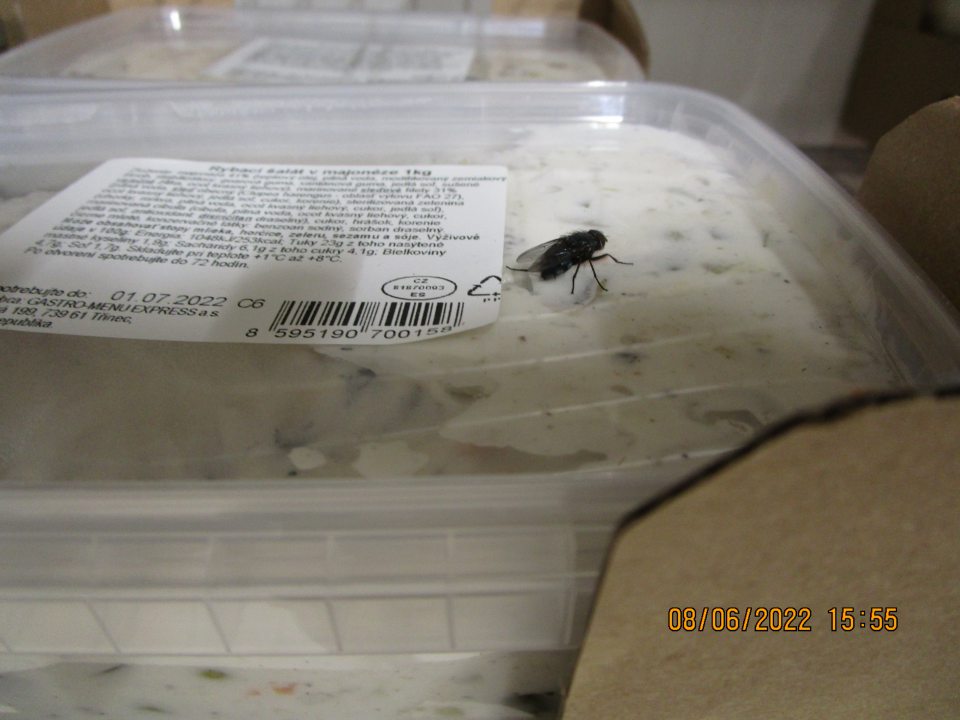 v zázemí v chlad. boxe s mäsovými a lahôd. výrobkami lietajúci hmyz - mucha