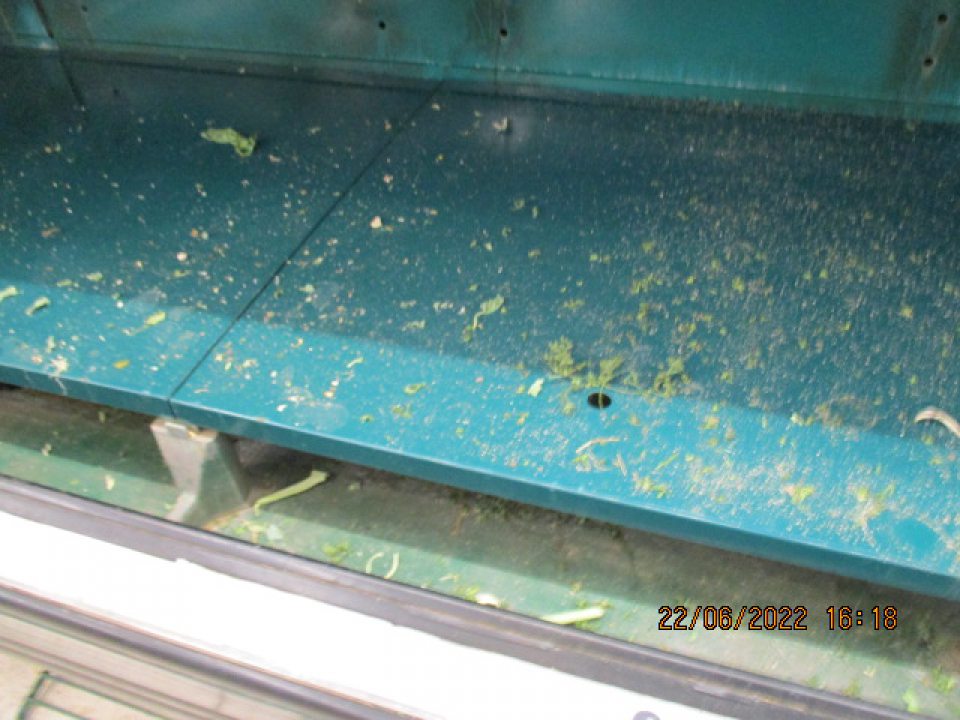 znečistenie chladiacého boxu zeleniny - výskyt suchých rastlinných zvaškov a nečistôt