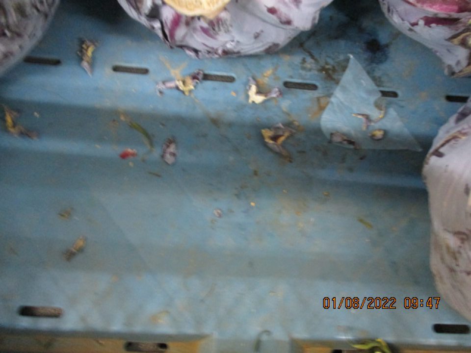 Na predajnej ploche 5ks plastových prepravných obalov so zeleninou znečistených vrstvou hrubého nánosu prachu, nečistôt a suchých rastlinných zvyškov.