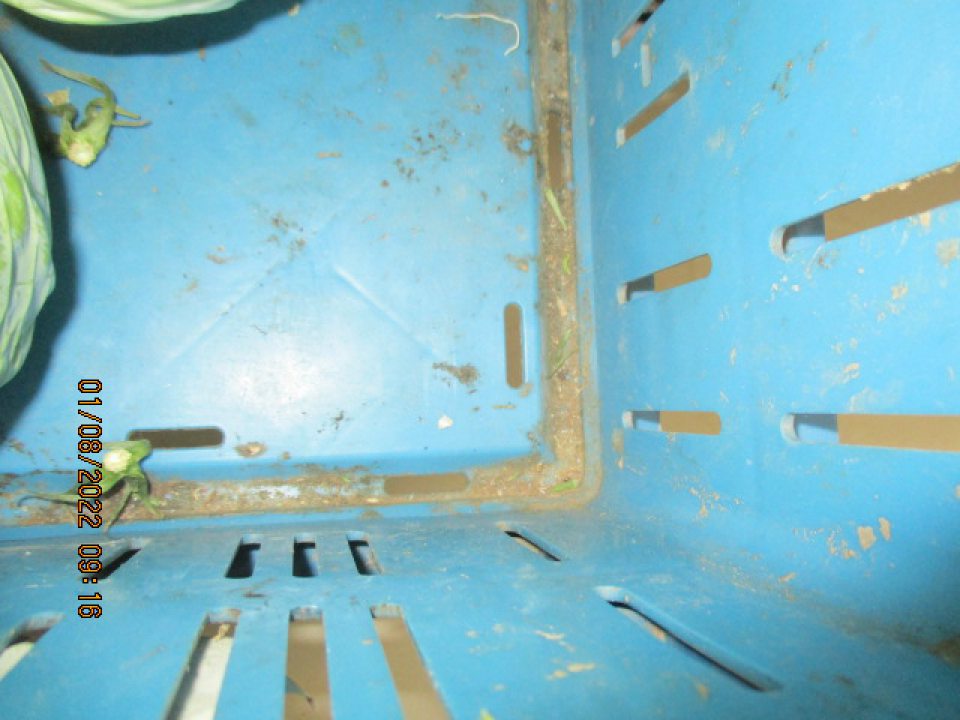 Na predajnej ploche 5ks plastových prepravných obalov so zeleninou znečistených vrstvou hrubého nánosu prachu, nečistôt a suchých rastlinných zvyškov.