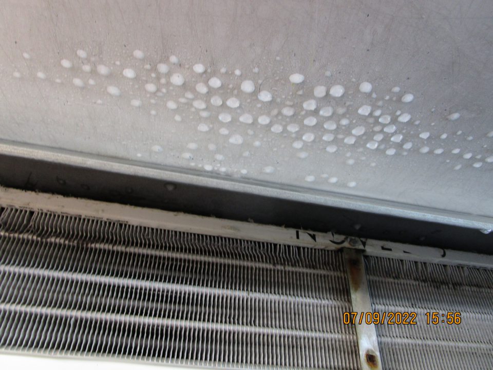 v zázemí v mraziacom boxe s pekár. výrobkami výskyt námrazy na strope