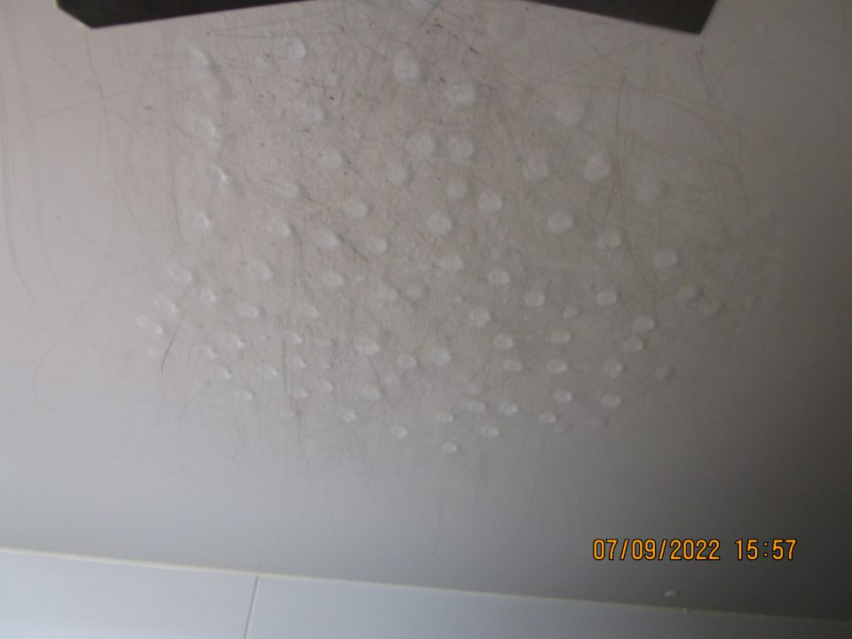 v zázemí v mraziacom boxe s pekár. výrobkami výskyt námrazy na strope