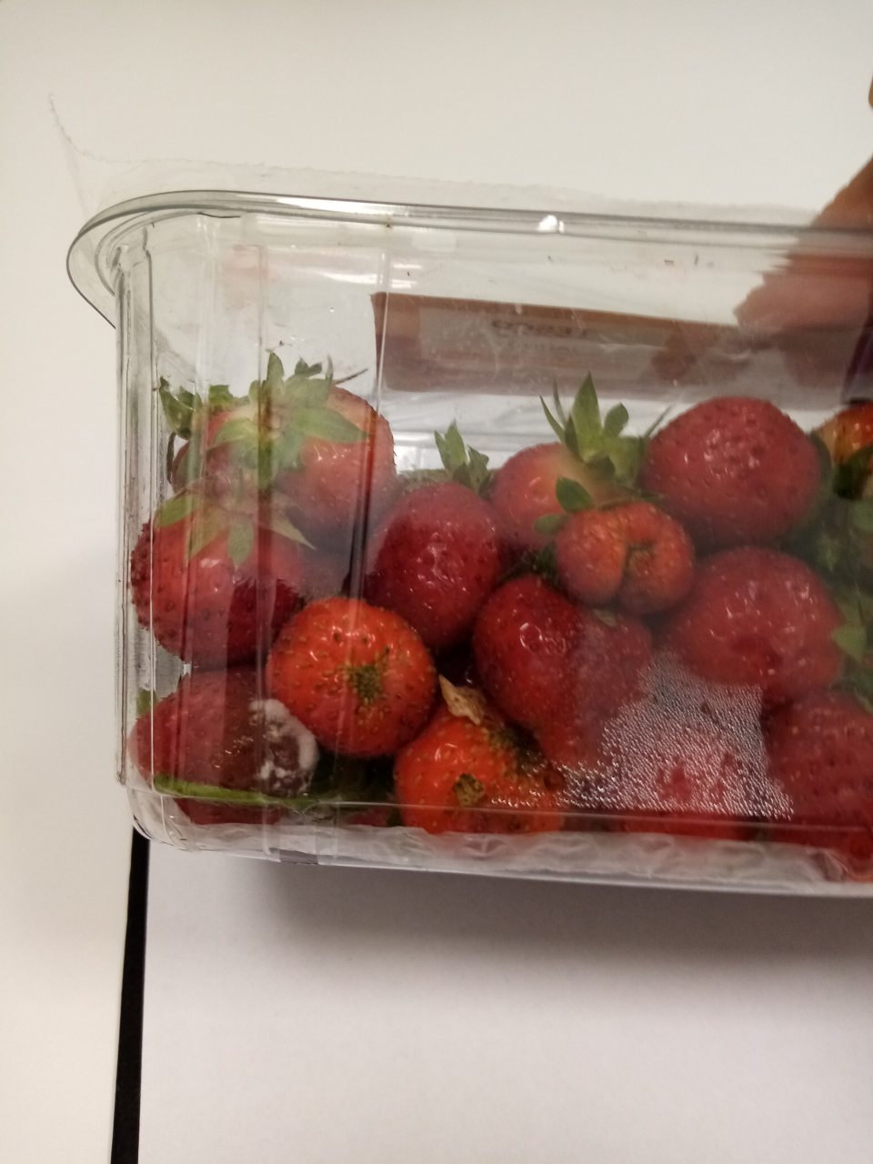 V čase kontroly bol na trh umiestňovaný jeden druh plodín,nevhodný na ľudskú spotrebu : "TESCO Jahody bal.500g,krajina pôvodu Poľsko", v ktorých bol zistený výskyt plesne a hniloby na povrchu plodín v každom balení.