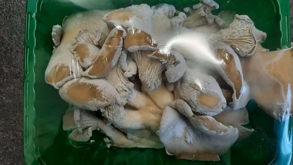 Bol zistený predaj potraviny so zenzorickými zmenami, vzbudzujúci odpor, na povrchu hlivy sa nachádzala pleseň, ato: 1.1. Hliva ustricová, 250g, 1 balenie, celková cena: 1,89 eur, dodávateľ: AGARIUS GOMBATERMELO, krajina pôvodu: Maďarsko, dátum balenia: 03.10.2022, spotrebujte do: 10.10.2022