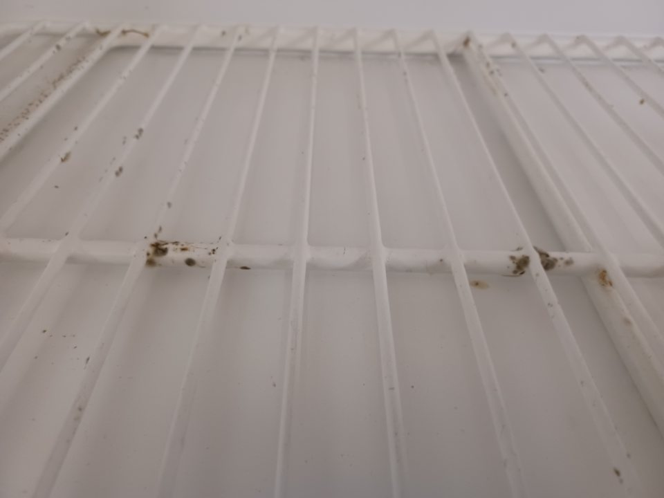 Chladiace vitríny znečistené plesňou