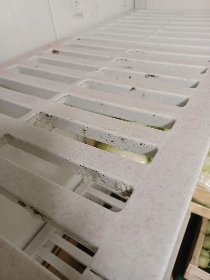 Police v chladiacom boxe v zázemí prevádzkarne znečistené plesňou