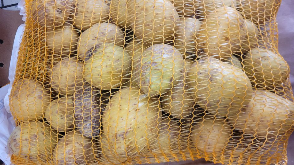 Zemiaky nevhodné na ľudskú spotrebu.