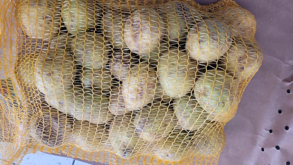 Zemiaky nevhodné na ľudskú spotrebu.