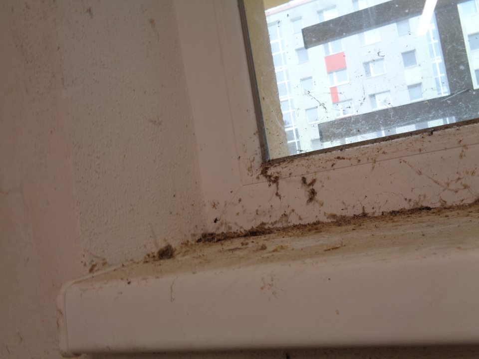 Špinavá parapetná doska v priestoroch príjmu potravín.