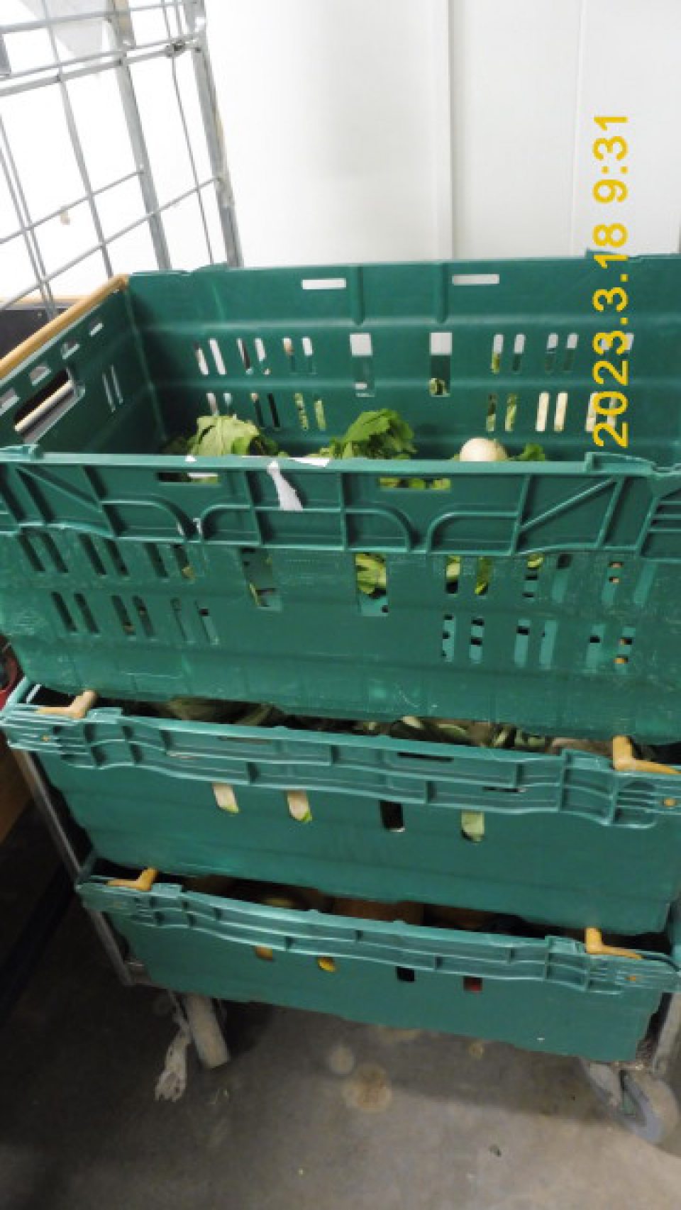 Odpisy zeleniny v chladiacom boxe zeleniny a odpisy (poškodený tovar) v sklade neuložené v uzatvárateľnej nádobe