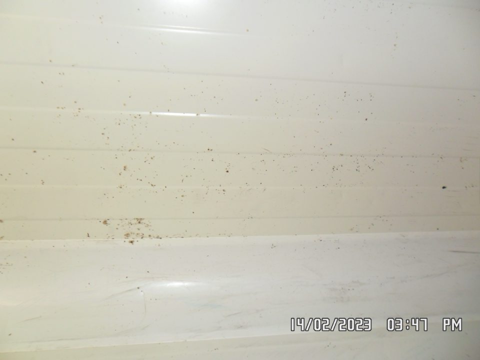 V chladiacom boxe výskyt čiernej plesne.