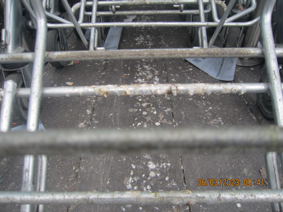 Na vozíkoch a na podlahe zistený výskyt exkrementov vtákov a rôzne mechanické nečistoty.