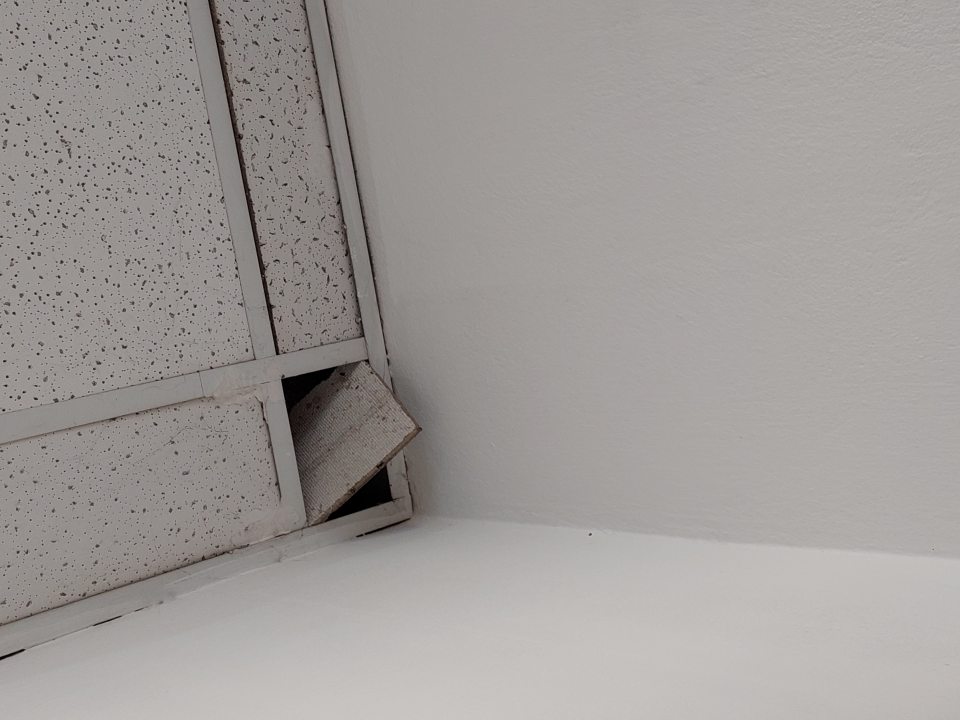 V príjmovej časti určenej na denný príjem pekárenských výrobkov poškodený stropný panel.