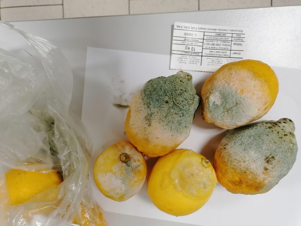 Výskyt plesne na povrch ovocia - Citróny voľné - 1 druhu, nevyhovujúce množstvo: 1,35 kg, v cene: 2,02 €.