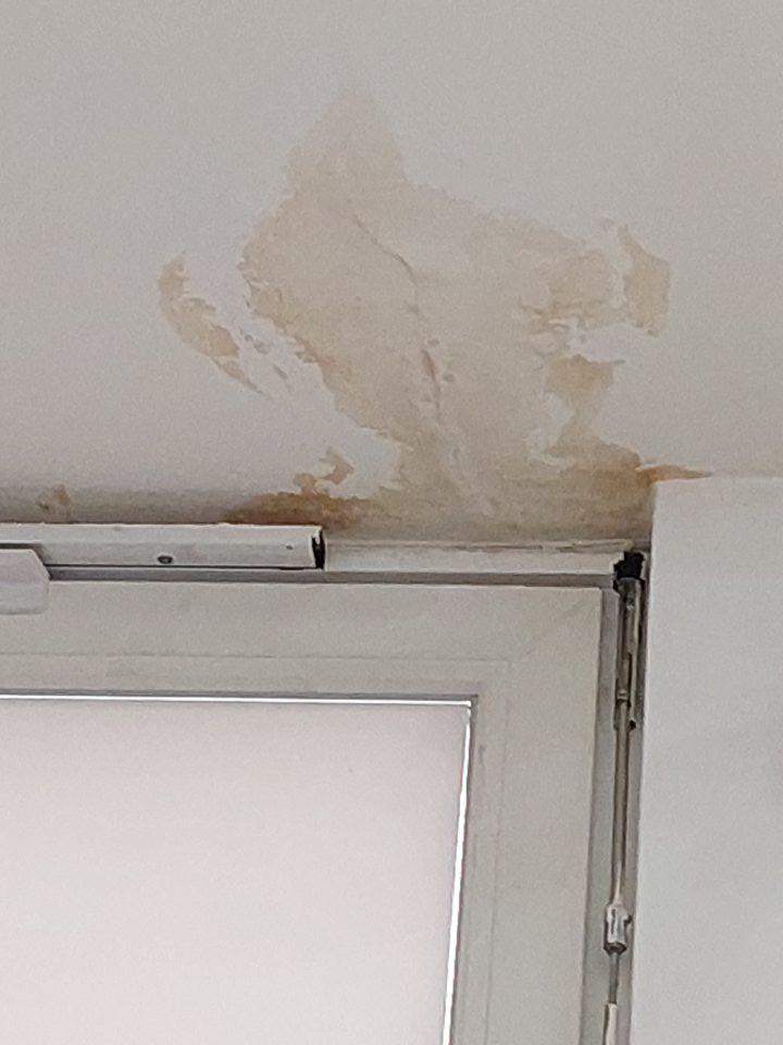 Zatečený strop na viacerých miestach predajne nad oknami.