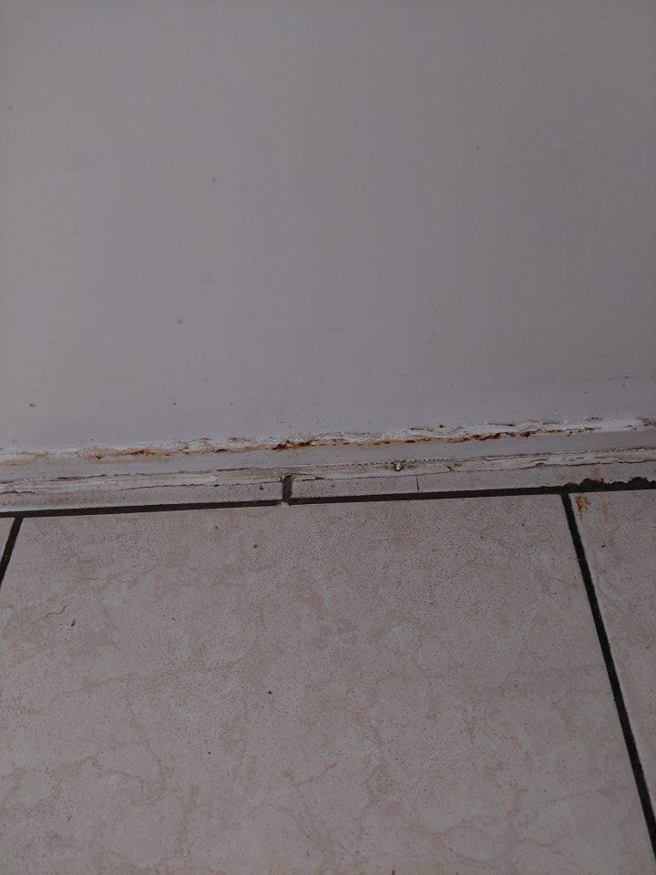 V chladiacom boxe s uskladneným mäsom v dolnej časti stien poškodená lišta s výskytom korózie.