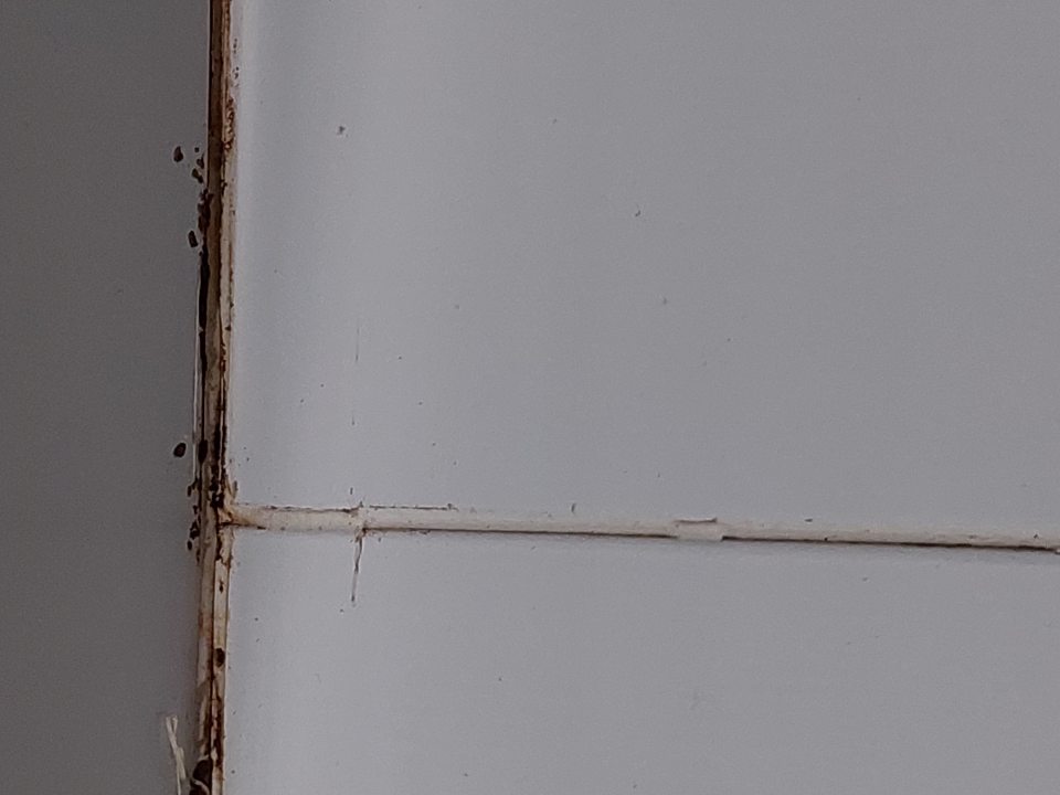 V chladiacom boxe s uskladneným ovocím a zeleninou znečistené lišty medzi stropom a bočnou stenou s výskytom plesne na viacerých miestach.