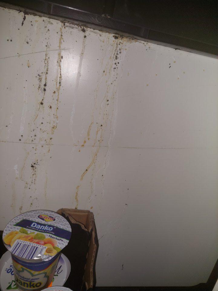 V chladiacom boxe znečistenie v spodnej časti úložného regálu s výskytom plesne.