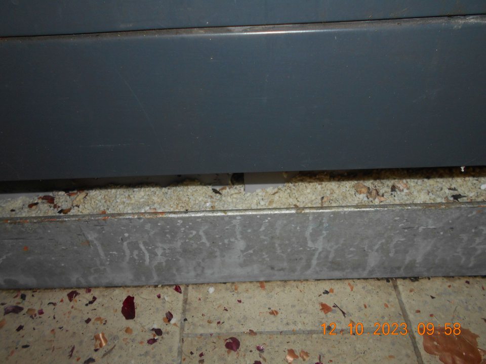 Výskyt myšacieho trusu pod paletou s uloženou cibuľou a cesnakom, so zemiakmi