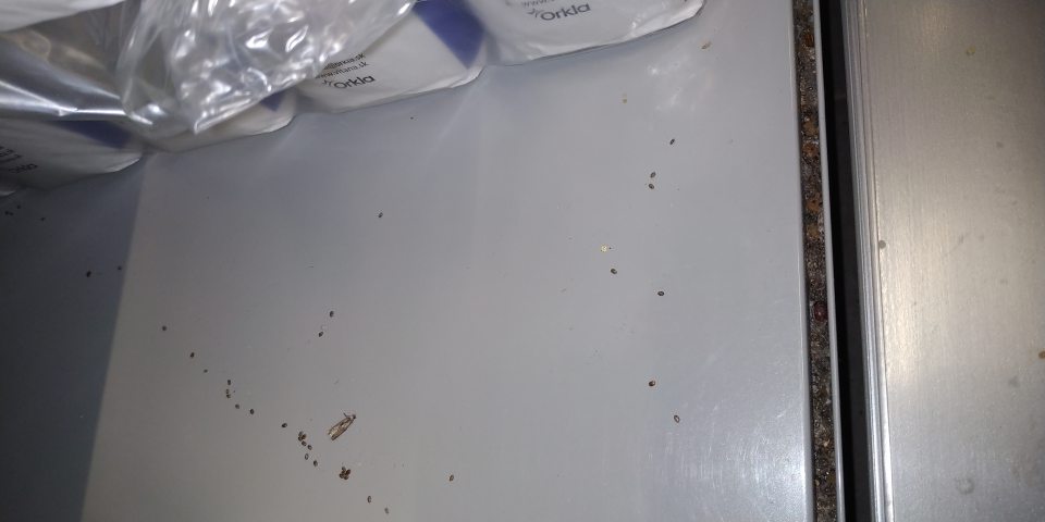 Na predajnej ploche rozsypané potraviny na regáloch s výskytom mŕtveho hmyzu.