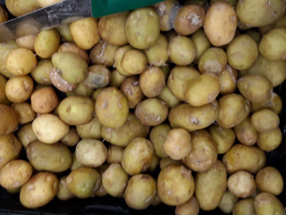 Predaj zemiakov s výskytom zelených hľúz.